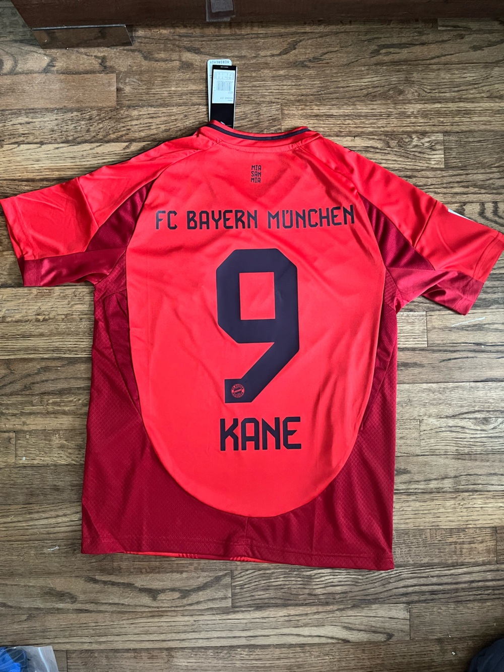 Kane Bayern Munich 24/25 Soccer Jersey